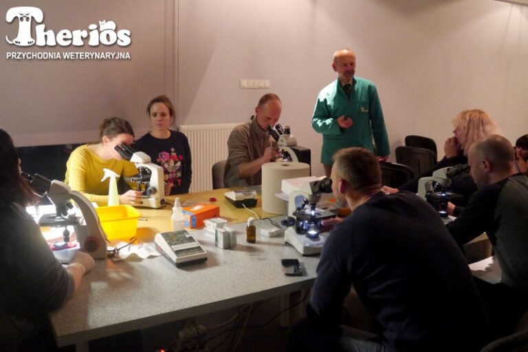 szkolenia THERIOS