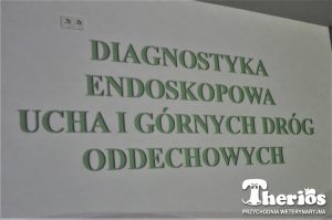 Endoskopia THERIOS